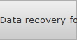 Data recovery for Victor data